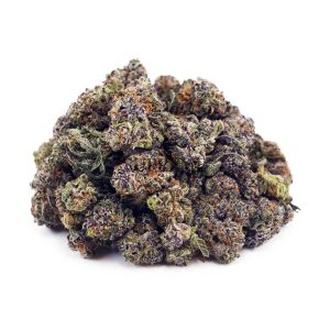 Buy Black Cherry Gelato AAAA - (Popcorn Buds) at Supreme Dispensary