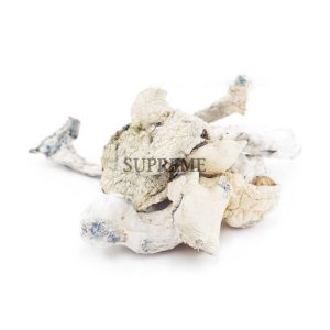 Buy Mushrooms – Extra Terrestrial at Supreme Dispensary