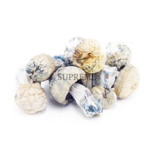 Buy Mushrooms – Jack Frost (Exotic) at Supreme Dispensary