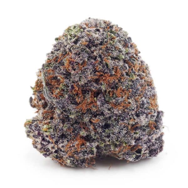 Buy Mendocino Purps AAA at Supreme Dispensary