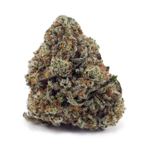 Buy Platinum Blackberry AAAA at Supreme Dispensary Buy Platinum Blackberry AAAA at Supreme Dispensary
