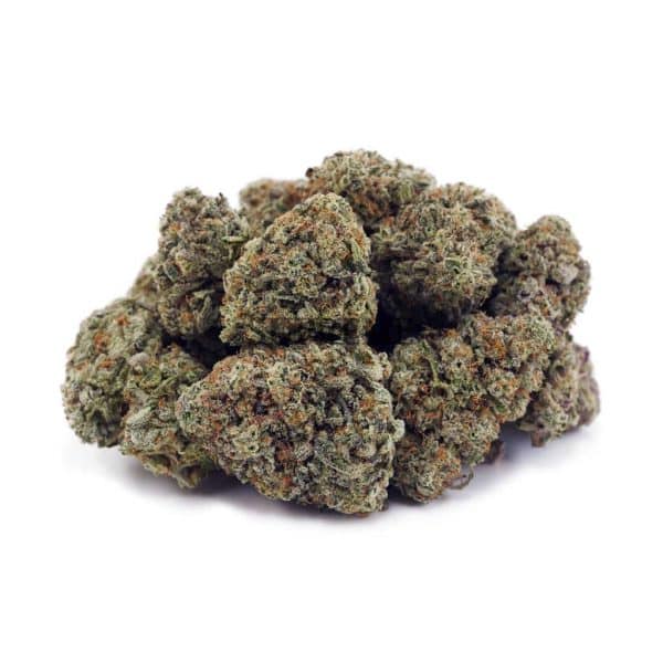 Buy Platinum Blackberry AAAA at Supreme Dispensary Buy Platinum Blackberry AAAA at Supreme Dispensary