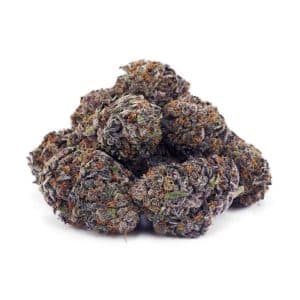 Buy Mango Punch AAAA at Supreme Dispensary