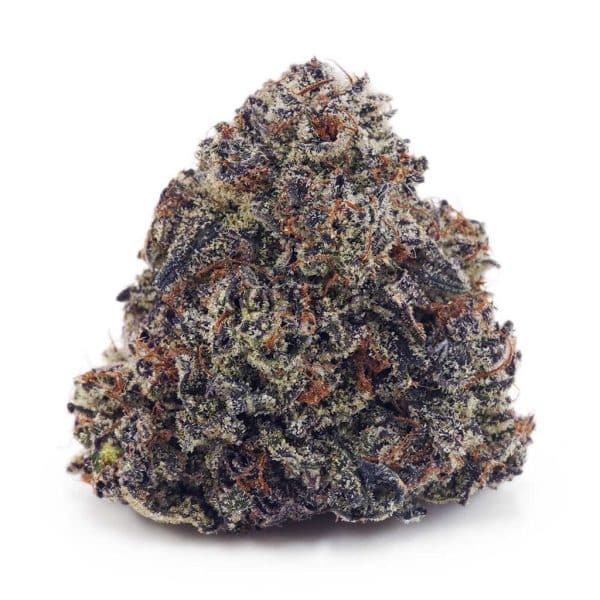 Buy Platinum Truffles AAAA at Supreme Dispensary Buy Platinum Truffles AAAA at Supreme Dispensary