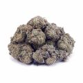Buy Lemon Haze AAA at Supreme Dispensary