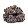 Buy Grape Ape AAA at Supreme Dispensary