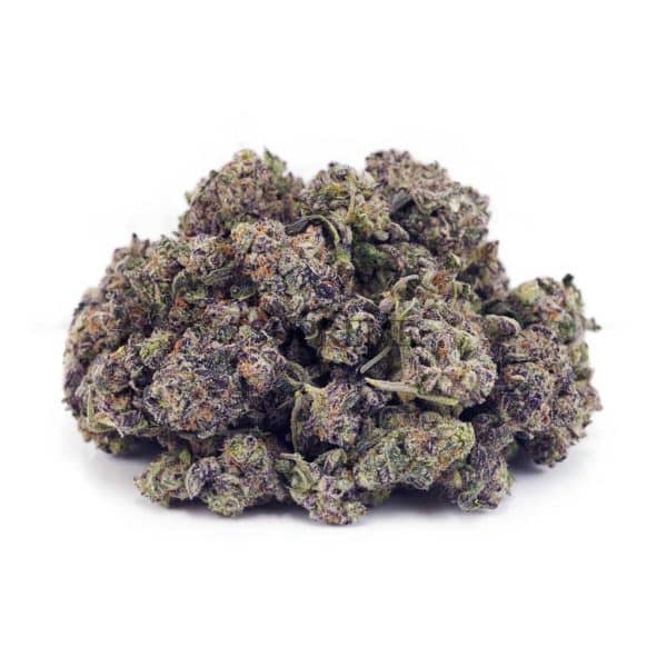 Buy Peanut Butter Breath AAAA - (Popcorn Buds) at Supreme Dispensary Buy Peanut Butter Breath AAAA - (Popcorn Buds) at Supreme Dispensary