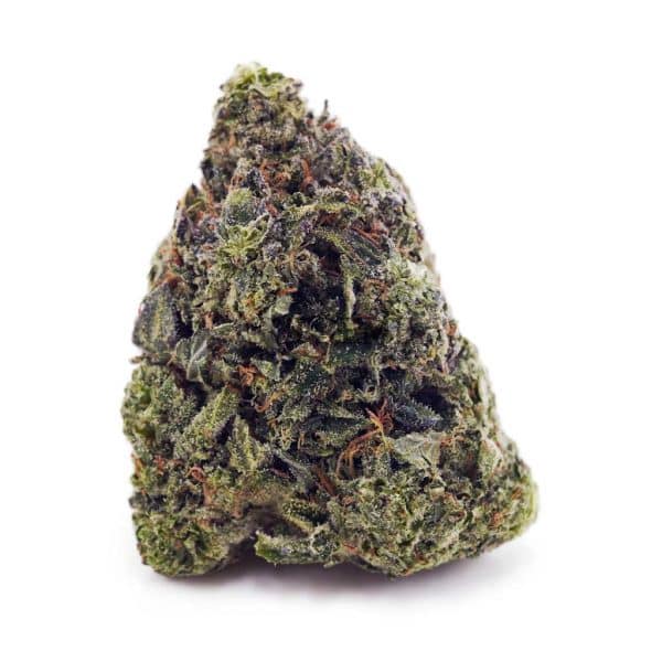 Buy Rockstar AAAA at Supreme Dispensary