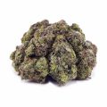 Buy Rockstar AAAA at Supreme Dispensary