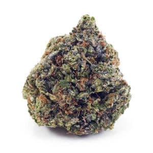 EA HELLSANGELOG SUPREME