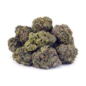 EA HELLSANGELOG SUPREME