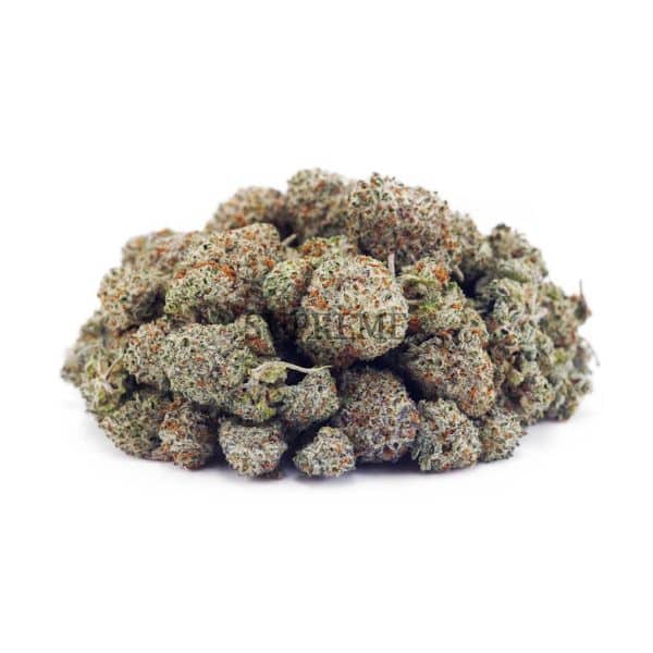 Buy Acapulco Gold AAAA - (Popcorn Buds) at Supreme Dispensary