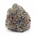 Buy Supreme Pineapple Cake (Craft Cannabis) at Supreme Dispensary