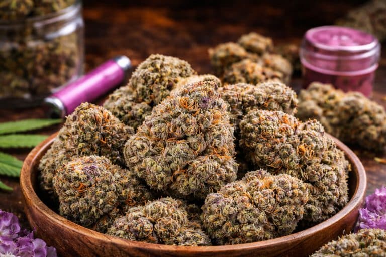 Pink Tuna Strain – Effects, Benefits & Where to Buy Online in Canada