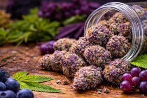 Purple Urkle Cannabis Profile THC Levels, Effects, and Taste