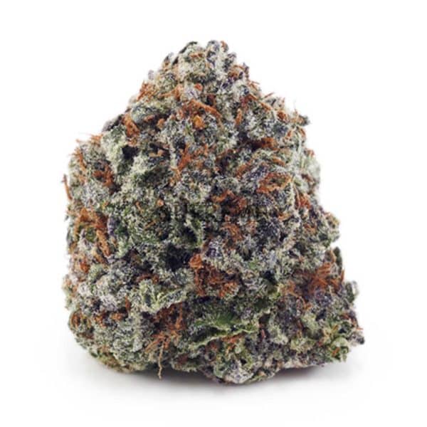 Buy Donny Burger AAA at Supreme Dispensary Buy Donny Burger AAA at Supreme Dispensary