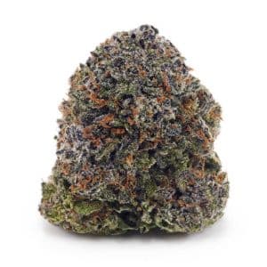 Buy Alaskan Thunder Fuck AAA at Supreme Dispensary