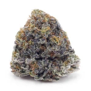 Buy White Russian Cream AAAA at Supreme Dispensary