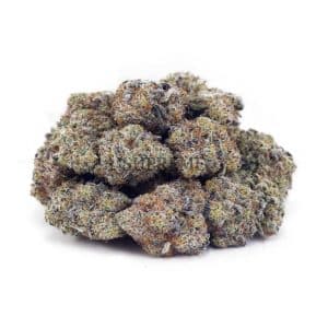 Buy White Russian Cream AAAA at Supreme Dispensary