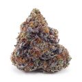 Buy Purple Gasoline AAA at Supreme Dispensary