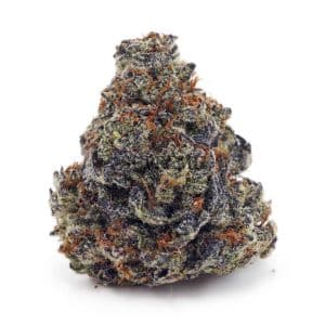 Buy Blackberry Kush AA at Supreme Dispensary
