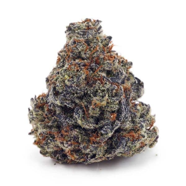 Buy Blackberry Kush AA at Supreme Dispensary