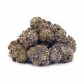 Buy Blackberry Kush AA at Supreme Dispensary