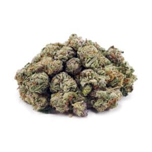 Buy Gelato #41 AAAA - (Popcorn Buds) at Supreme Dispensary
