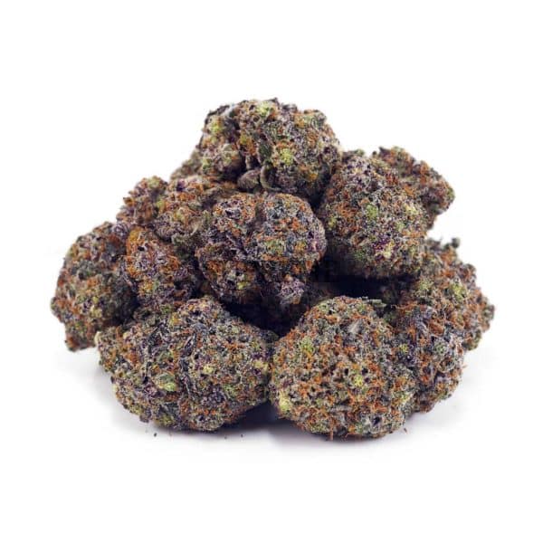 Buy Laughing Buddha (Craft Cannabis) at Supreme Dispensary Buy Laughing Buddha (Craft Cannabis) at Supreme Dispensary