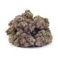 Buy Pink Rockstar AAA at Supreme Dispensary