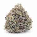 Buy White Rhino AA at Supreme Dispensary