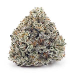 Buy White Rhino AA at Supreme Dispensary