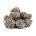 Buy White Rhino AA at Supreme Dispensary