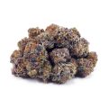 Buy Bacio Gelato (Craft Cannabis) at Supreme Dispensary