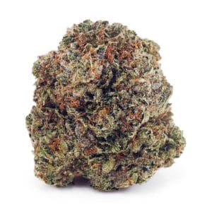 Buy Amnesia Haze AAA at Supreme Dispensary