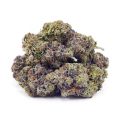 Buy Island Pink Kush (Craft Cannabis) at Supreme Dispensary