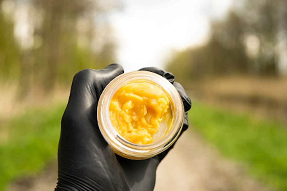 Lemon Meringue Budder A Citrus Packed Concentrate Worth the Hype