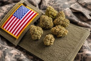 Can Cannabis Help Veterans With PTSD Exploring the Possibilities