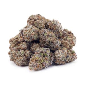 Buy Platinum Cookies AAAA at Supreme Dispensary