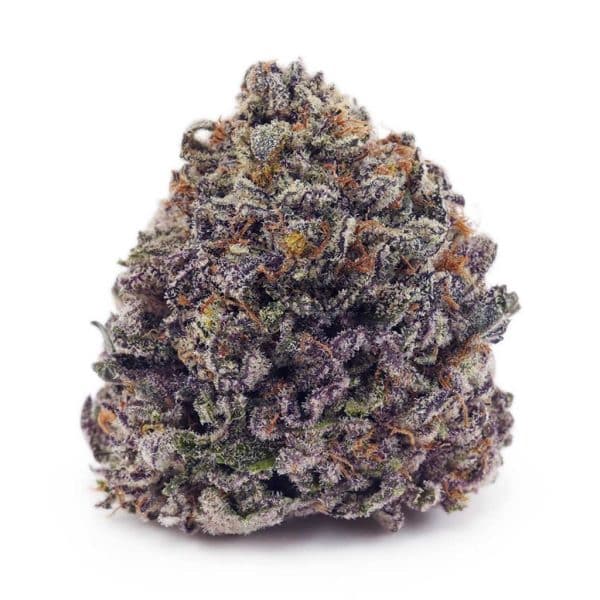 Buy Blueberry Skunk AAAA at Supreme Dispensary