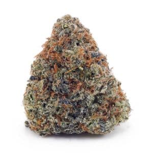 Buy Master Yoda AA at Supreme Dispensary