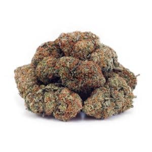 Buy Master Yoda AA at Supreme Dispensary