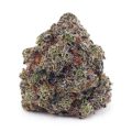 Buy Cookies Kush AAAA at Supreme Dispensary