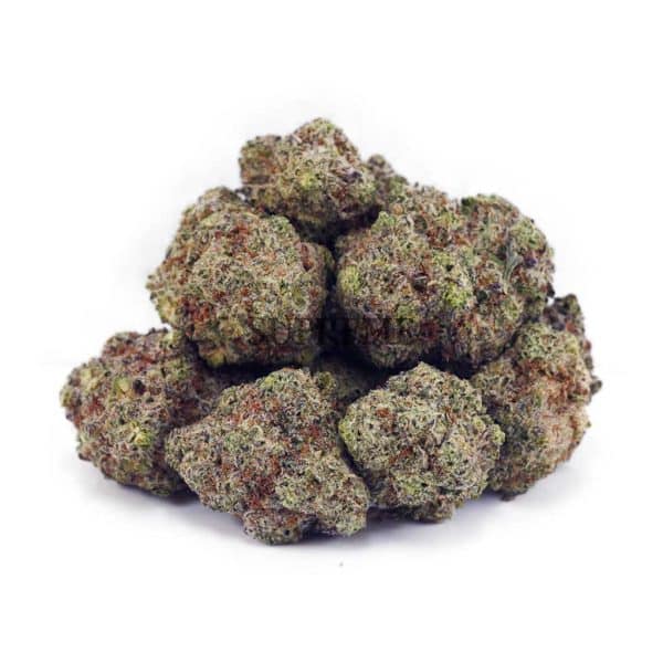 Buy Cookies Kush AAAA at Supreme Dispensary