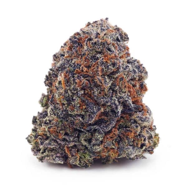 Buy Purple Afghan Haze AAAA at Supreme Dispensary