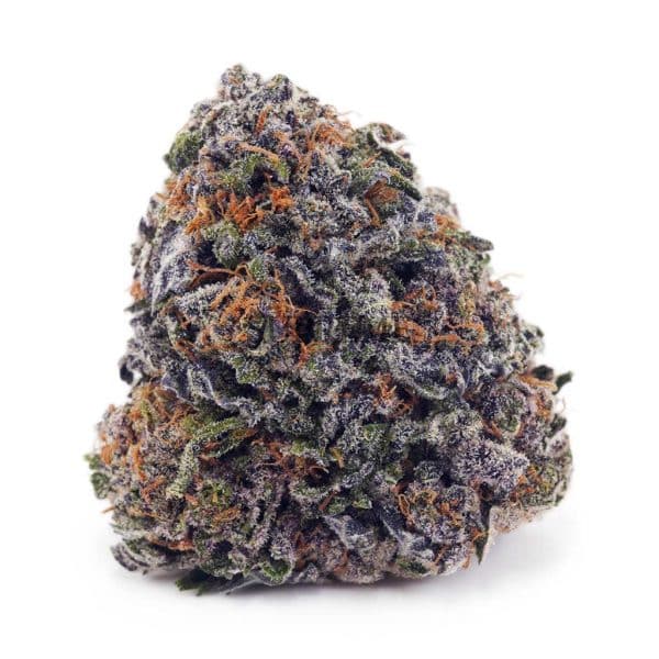 Buy Black Widow AAAA at Supreme Dispensary