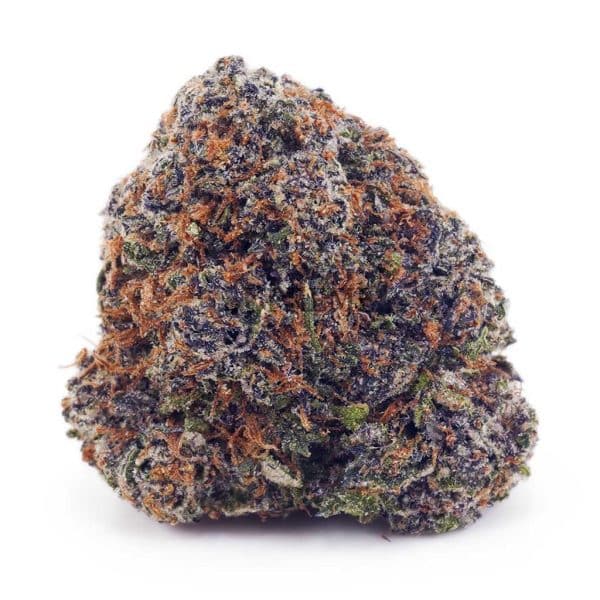 Buy Columbian Gold AAAA at Supreme Dispensary
