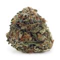 Buy Pink Gas AA at Supreme Dispensary
