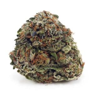 Buy Pink Gas AA at Supreme Dispensary