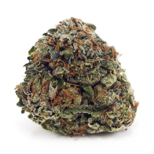 Buy Pink Gas AA at Supreme Dispensary